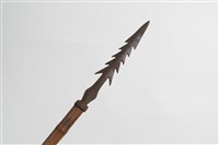 槍藏品圖，第3張